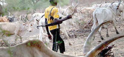 Fulani Herdsman