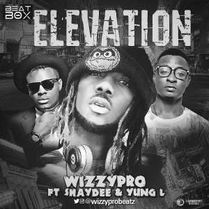 WizzyPro - Elevation (feat. Shaydee & Yung L)