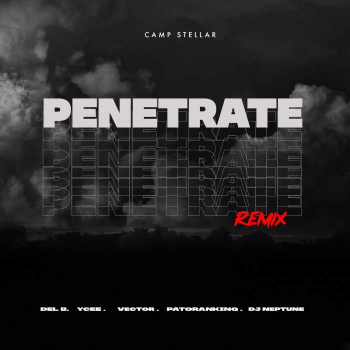 Del'B - Penetrate (Remix) (feat. Patoranking, YCee, Vector & DJ Neptune)