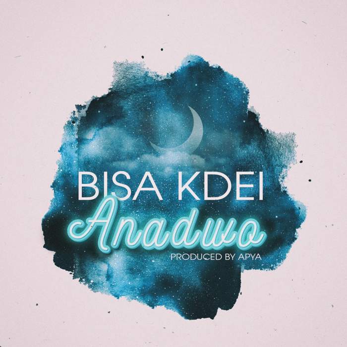 Bisa Kdei - Anadwo