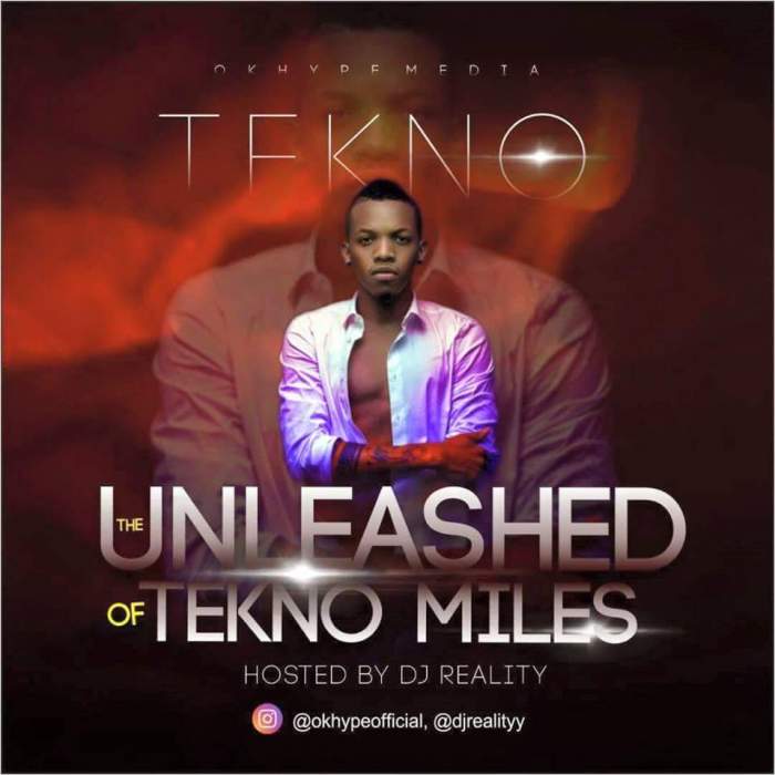 DJ Reality - The Unleashed (Best) of Tekno Miles