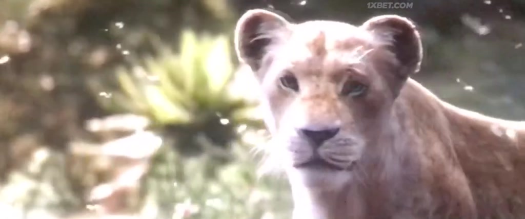 The Lion King (2019) CAMRip 12 The Lion King (2019) CAMRip 12
