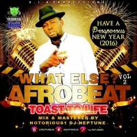 Notorious1 DJ Neptune - What Else? Arobeat Mix (Vol. 2)