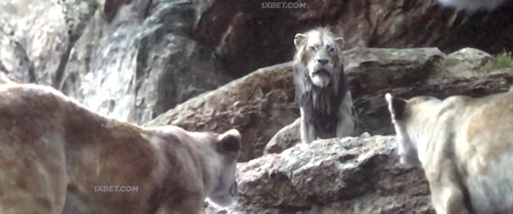 The Lion King (2019) CAMRip 8 The Lion King (2019) CAMRip 8