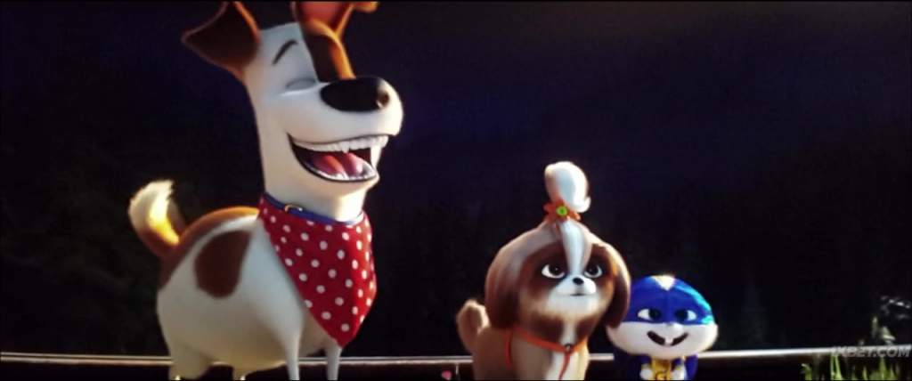 The Secret Life of Pets 2 (2019) HC-TC 11 The Secret Life of Pets 2 (2019) HC-TC 11