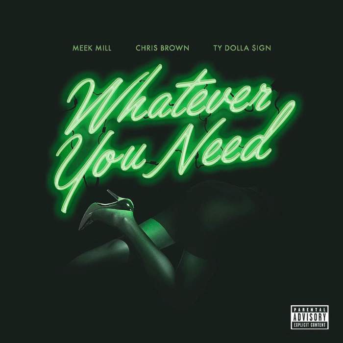 Meek Mill - Whatever You Need (feat. Chris Brown & Ty Dolla Sign)