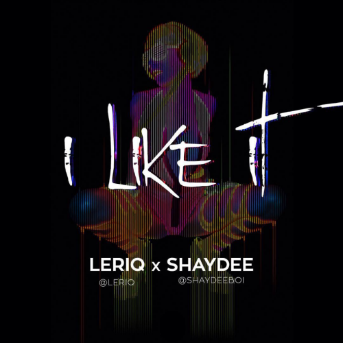 Shaydee & LeriQ - I Like It