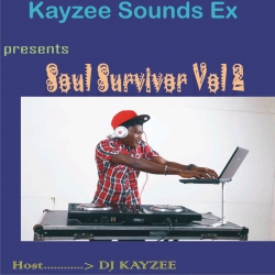 DJ Kayzee - Soul Survivor Mix (Vol. 2)