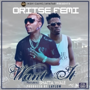 Oritse Femi - Want It (feat. Shatta Wale)