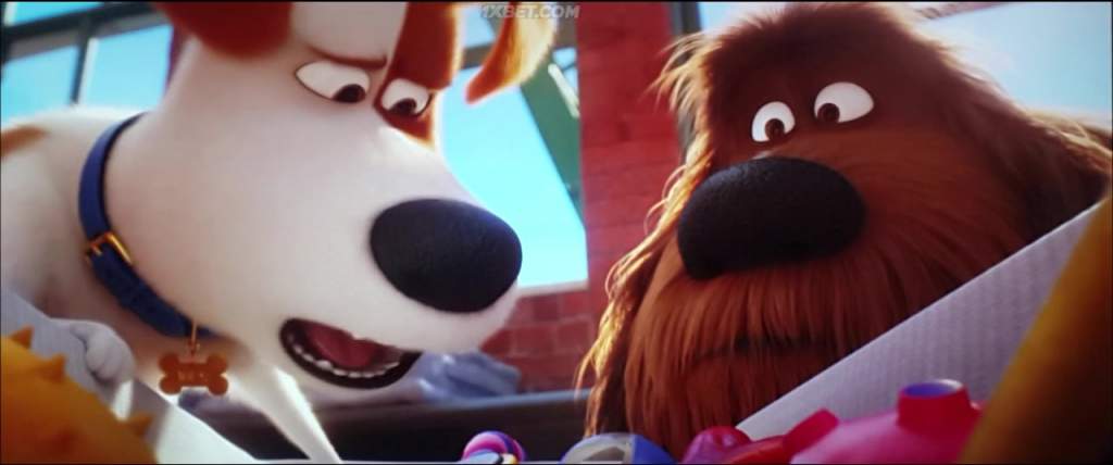 The Secret Life of Pets 2 (2019) HC-TC 3 The Secret Life of Pets 2 (2019) HC-TC 3