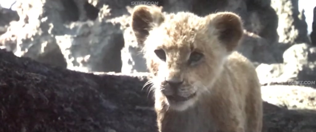 The Lion King (2019) CAMRip 5 The Lion King (2019) CAMRip 5