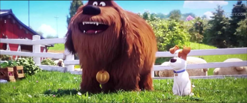 The Secret Life of Pets 2 (2019) HC-TC 8 The Secret Life of Pets 2 (2019) HC-TC 8