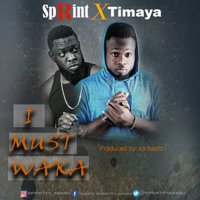 Sprint - I Must Waka (feat. Timaya)