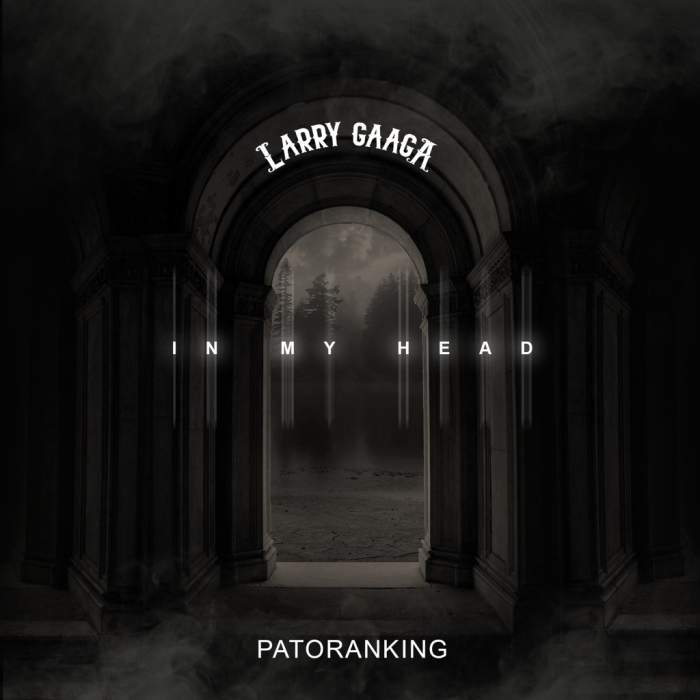 Larry Gaaga - In My Head (feat. Patoranking)