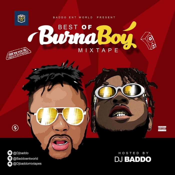 DJ Baddo - Best Of Burna Boy Mix