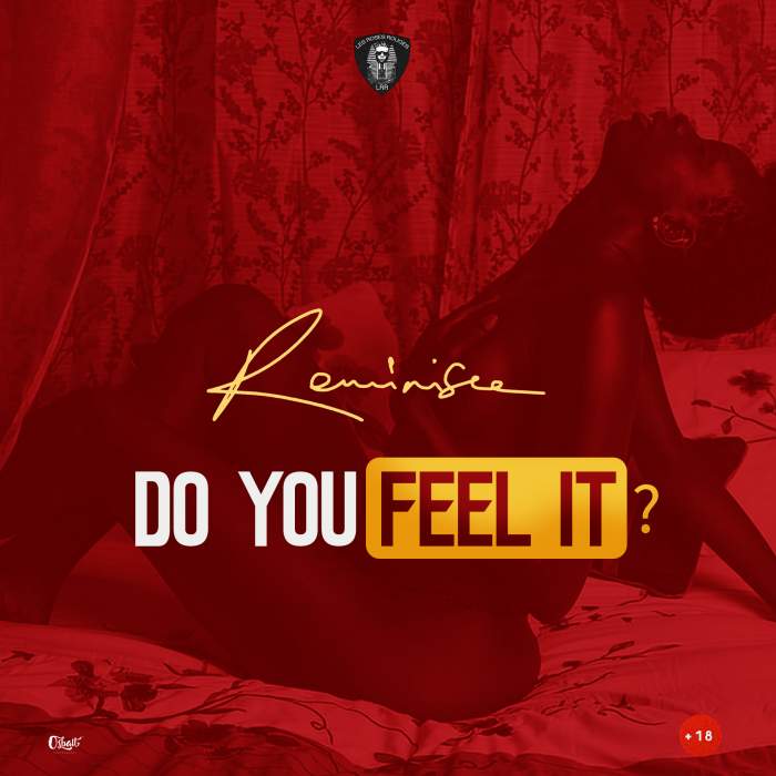 Reminisce - Do You feel It?