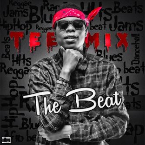 Teemix - The Beat (free instrumental)