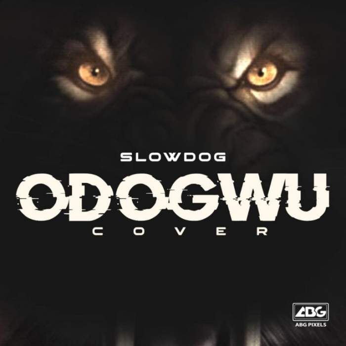 Slowdog - Odogwu (Cover)