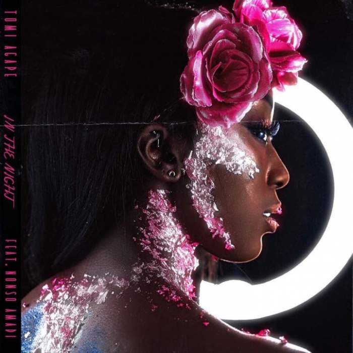Tomi Agape - In The Night (feat. Nonso Amadi)