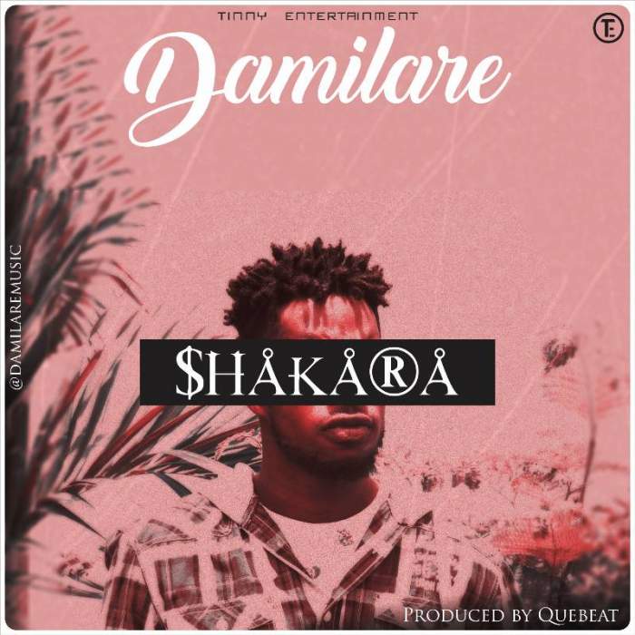 Damilare - Shakara