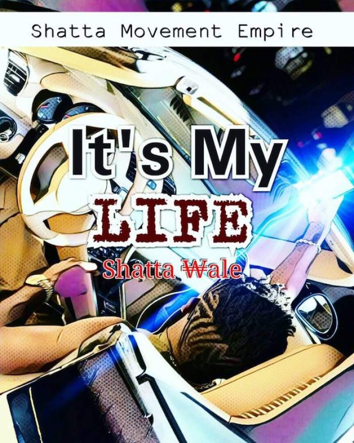 Shatta Wale - It's My Life (feat. Sarkodie)