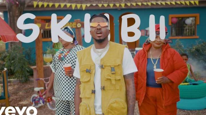 Skiibii - Are You Vhere?