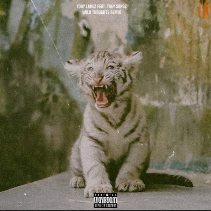 Tory Lanez - Wild Thoughts (Remix) (feat. Trey Songz)