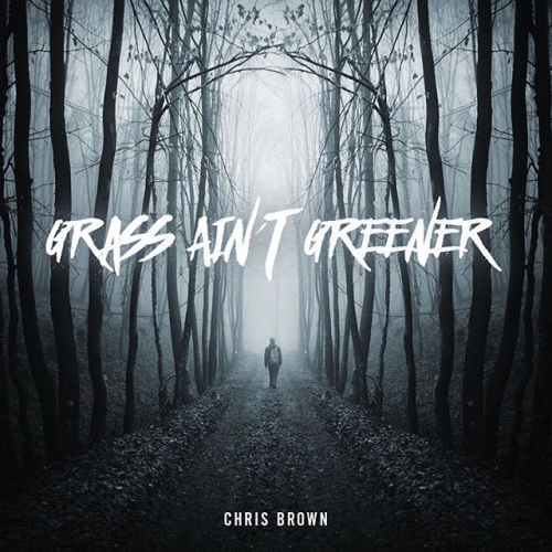 Chris Brown - Grass Ain't Greener