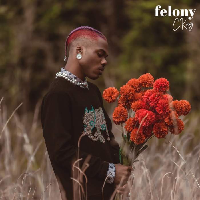 CKay - Felony