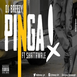 DJ Breezy - Pinga (feat. Shatta Wale)