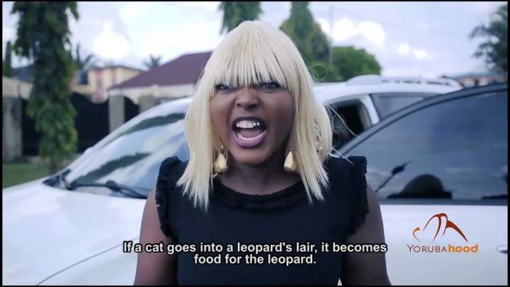 Tombolo (2019) Tombolo (2019)