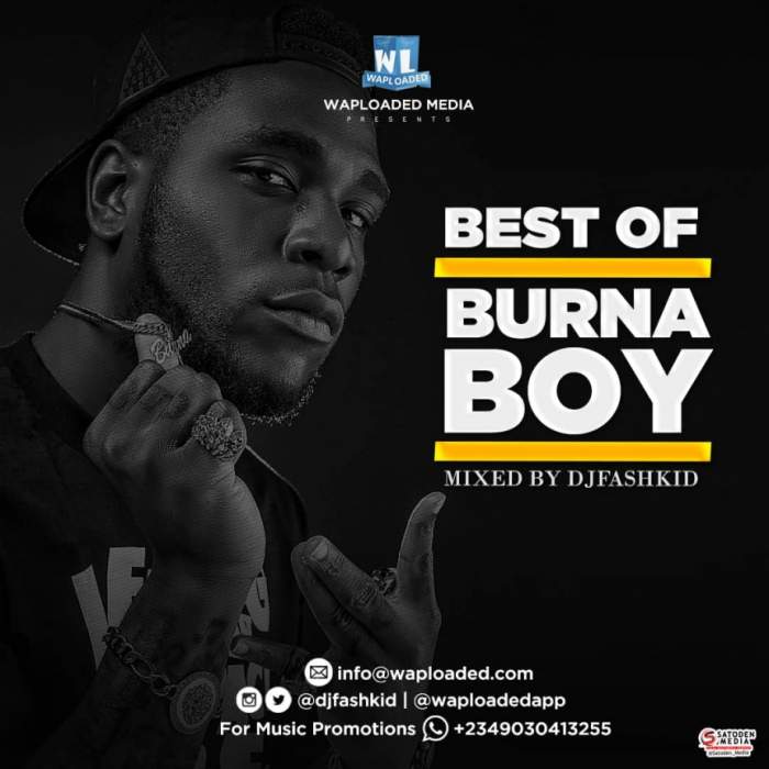 DJ Fashkid - Best of Burna Boy Mix