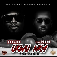 Pucado - Ukwu Nka Remix (feat. Phyno)