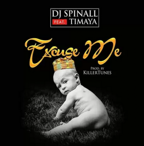 DJ Spinall - Excuse Me (feat. Timaya)