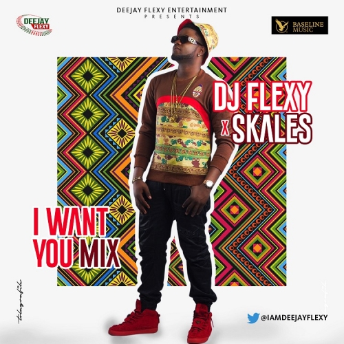 DJ Flexy - I Want You Mixtape (feat. Skales)
