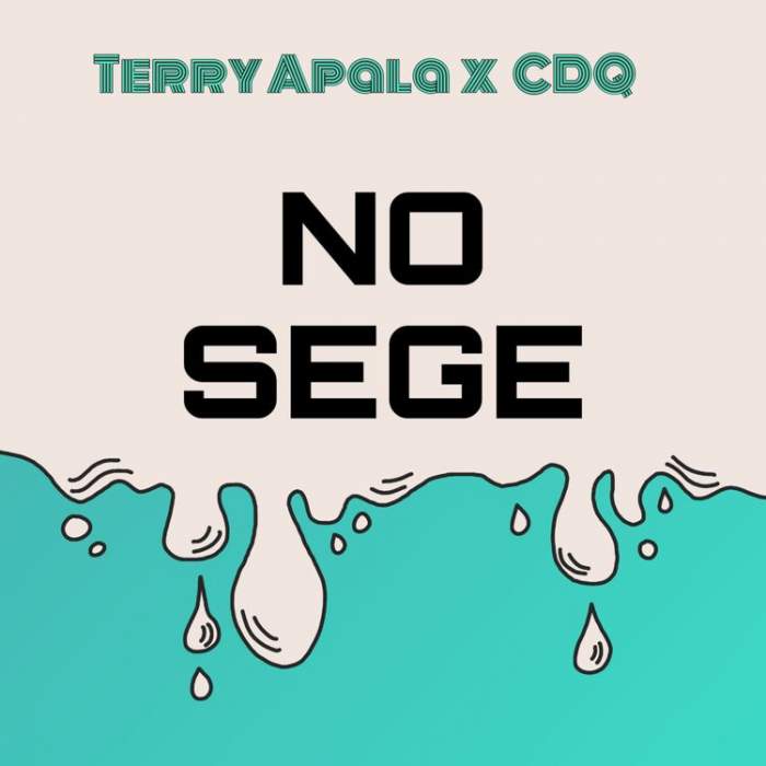 Terry Apala - No Sege (feat. CDQ)