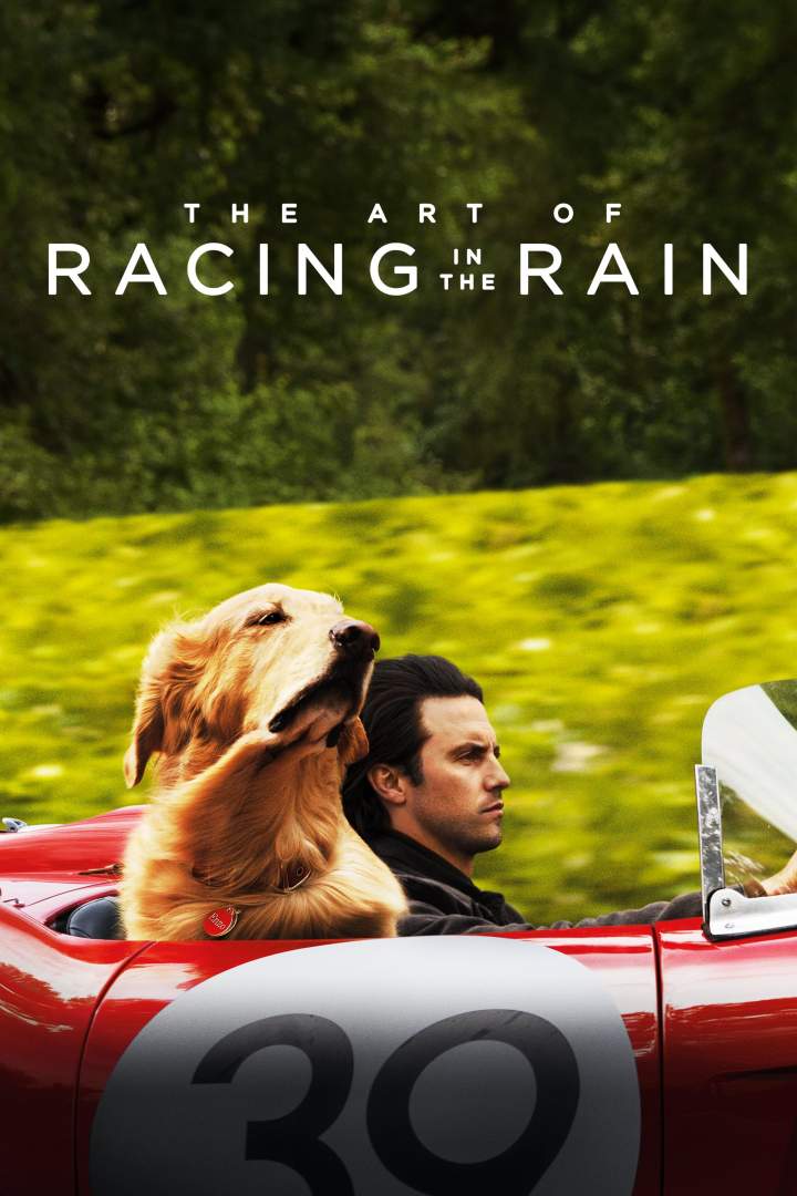 The Art of Racing in the Rain (2019) - Netnaija Movies
