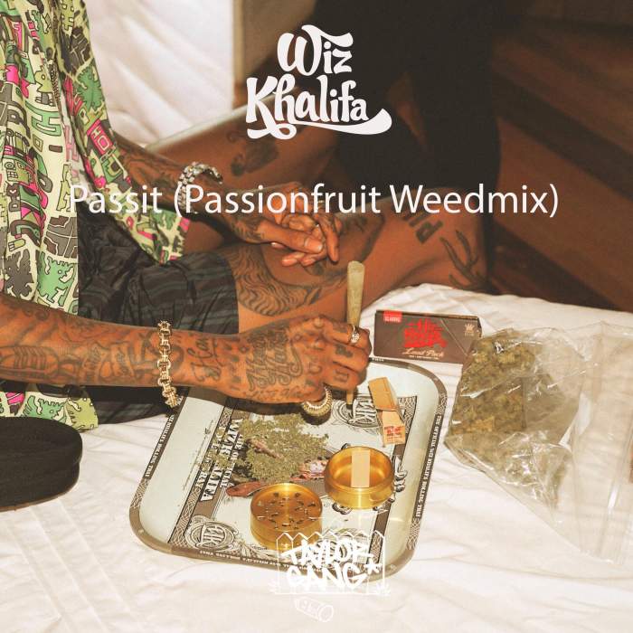 Wiz Khalifa - Passit (Passion Fruit Weedmix)