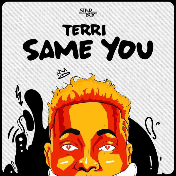 Terri - Same You