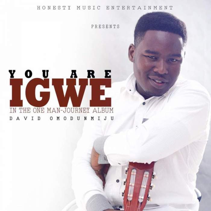 David Omodunmiju - You Are Igwe