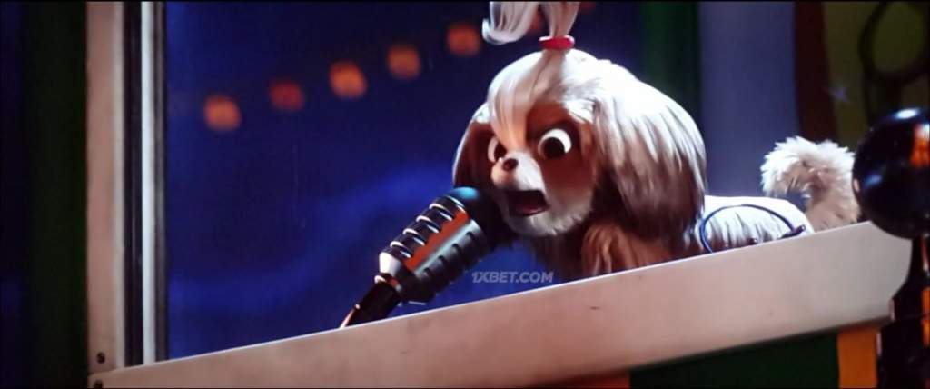 The Secret Life of Pets 2 (2019) HC-TC 6 The Secret Life of Pets 2 (2019) HC-TC 6