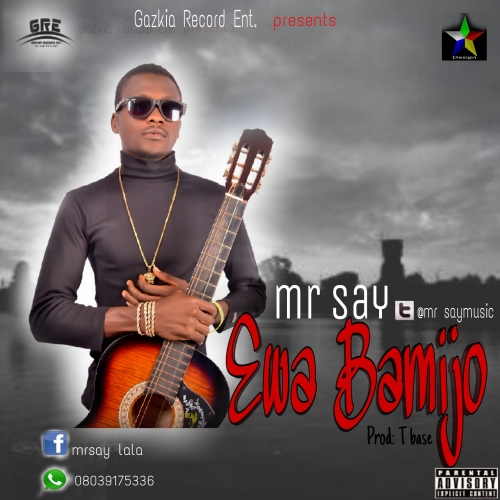 Mr Say - Ewa Bamijo