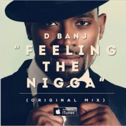 D'Banj - Feeling The Nigga