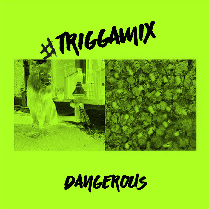 Trey Songz - Dangerous (Remix)