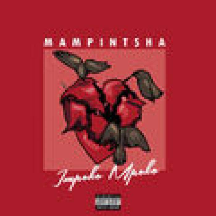 Mampintsha - Impoko Mpoko