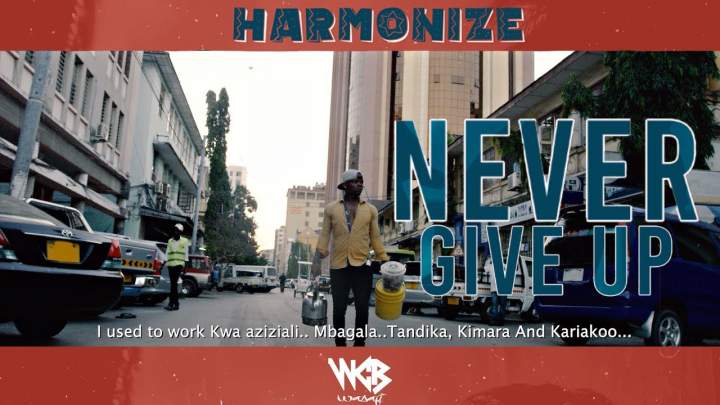 Harmonize - Never Give Up