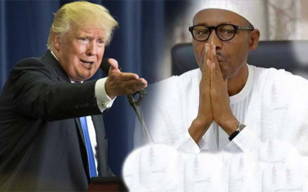 'Why Donald Trump Did Not Invite Buhari To Inauguration'- Presidency Reveals