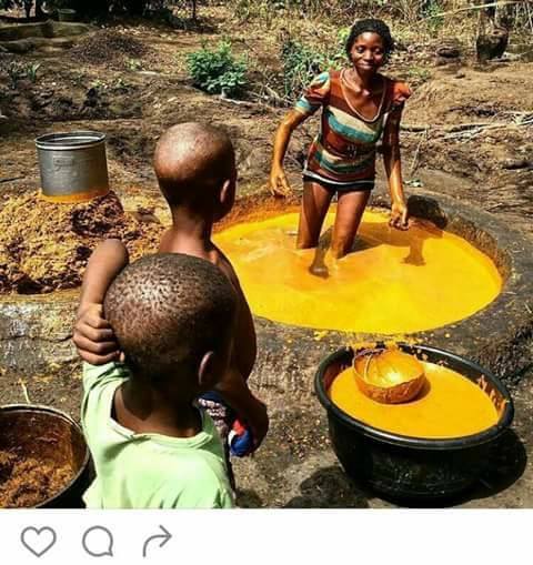 Did You Know This Is How The Palm Oil You Use For Cooking Is Produced? (Photos)