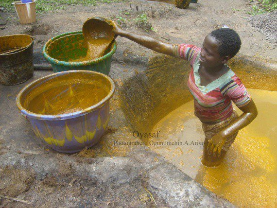 Did You Know This Is How The Palm Oil You Use For Cooking Is Produced? (Photos)