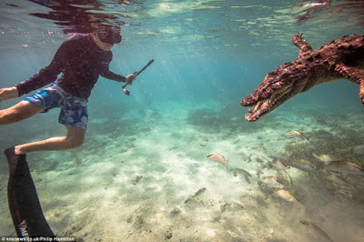 Best Birthday Gift? 14-Year-Old Boy Swims With Crocodiles For His Birthday (Photos)